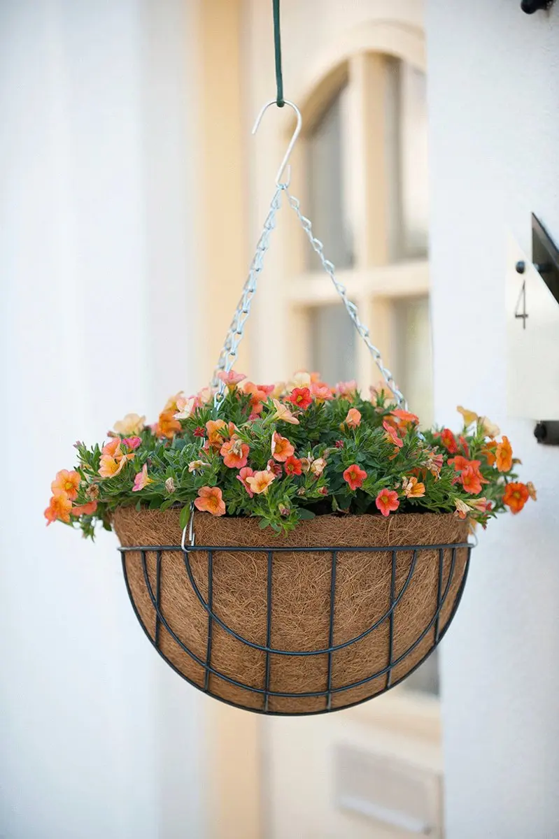 Nature Voorgevormde Kokosinlegger Rond 30cm - afbeelding 3 van 3