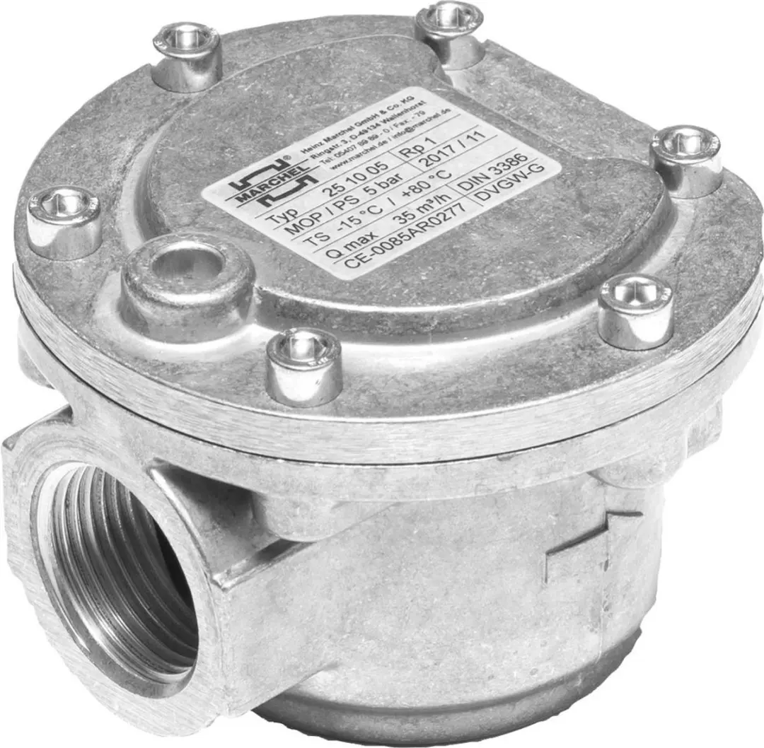 Bosch Installatieaccessoires GF 1 Gasfilter 1"(< 50 um) voor 150/200 kW, 8317908