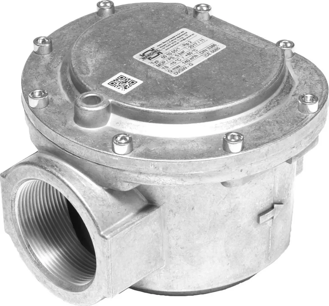 Bosch Installatieaccessoires GF 1 1/4 Gasfilter 1 1/4"(< 50 um) voor 250/300kW,
