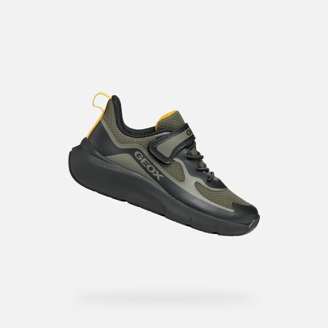 GEOX Sneakers -