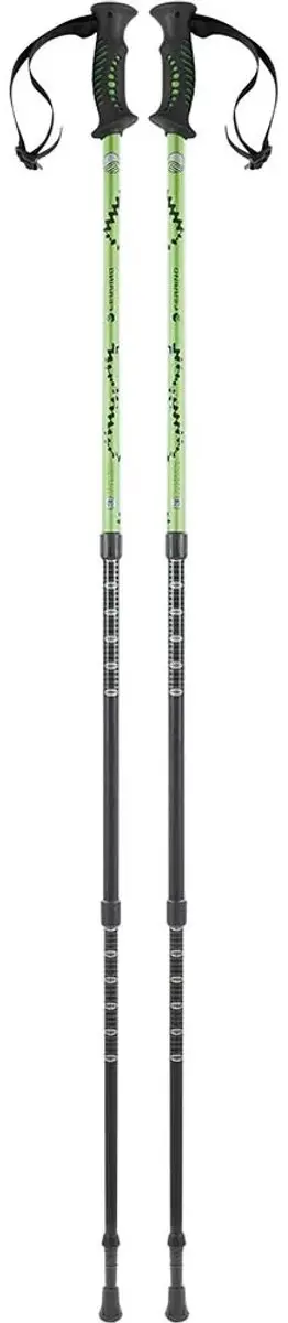 Ferrino Totem Wandelstokken Groen - Paar - afbeelding 3 van 6