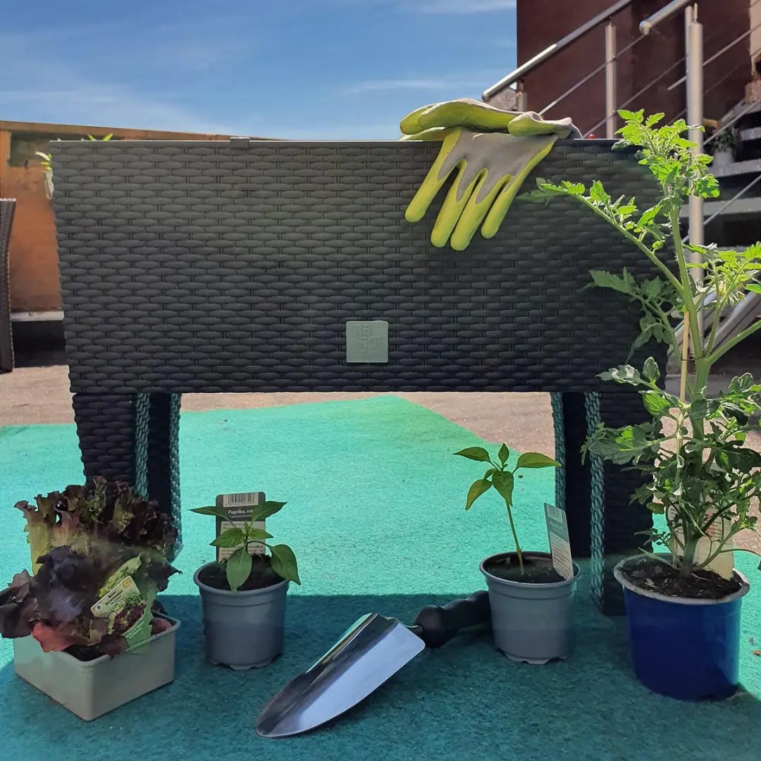 Deuba Hoge Plantenbak 30L - 60x25x46cm Antraciet - afbeelding 6 van 6