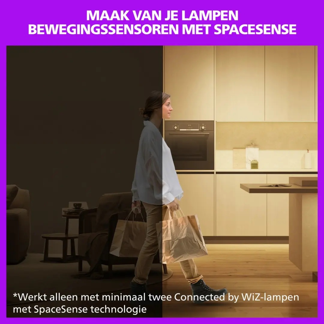 Philips Rune Plafondlamp 21W - RGB & Instelbaar Wit - WiZ App - Ø40cm - afbeelding 6 van 6