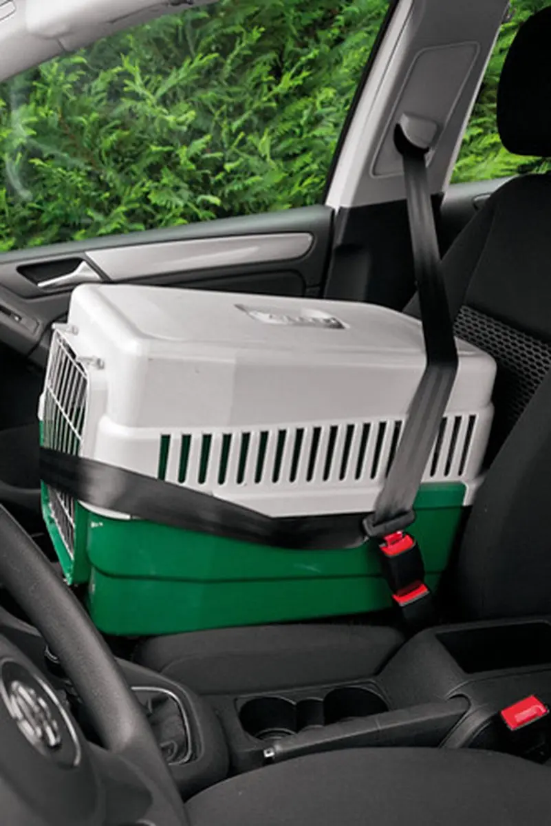 Lampa Gordel verlenger en Beep stopper