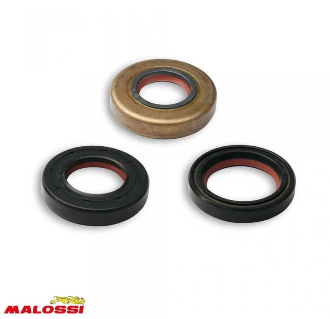Joint spi moteur Malossi pour Moto Chinois 50 motocycle Neuf