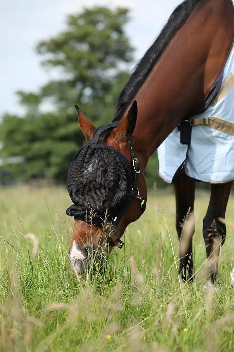 Epplejeck Halster Vliegenmasker Zwart - Pony - afbeelding 2 van 6
