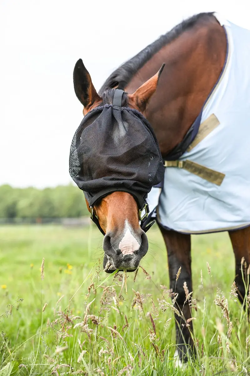 Epplejeck Halster Vliegenmasker Zwart - Pony - afbeelding 3 van 6