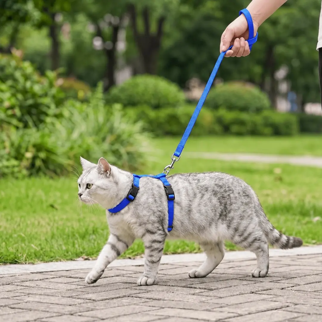 Nobleza Kattentuigje Blauw - afbeelding 2 van 4