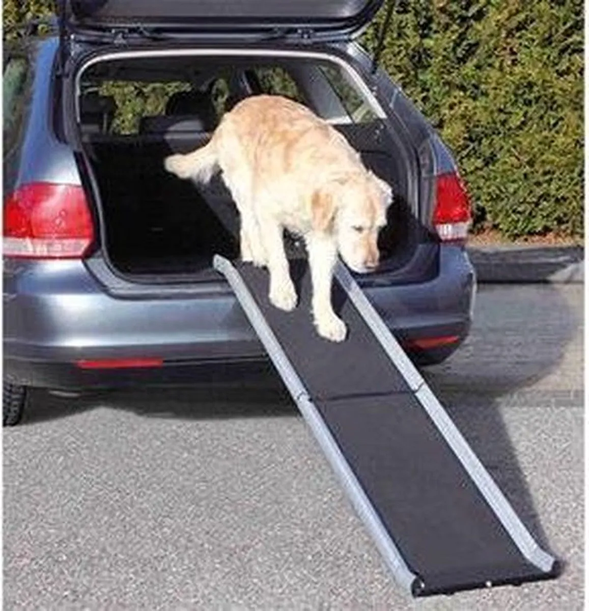 Trixie Telescopische Loopplank 100-180x43cm - Grijs
