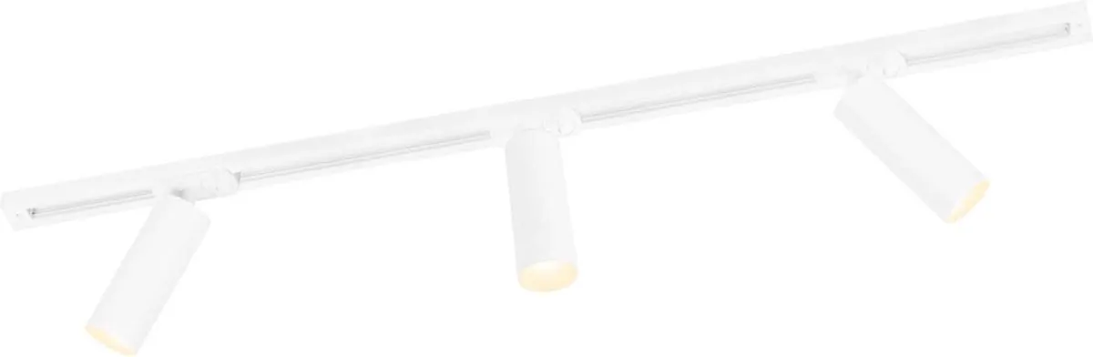Ledvion LED Railverlichting 1M
