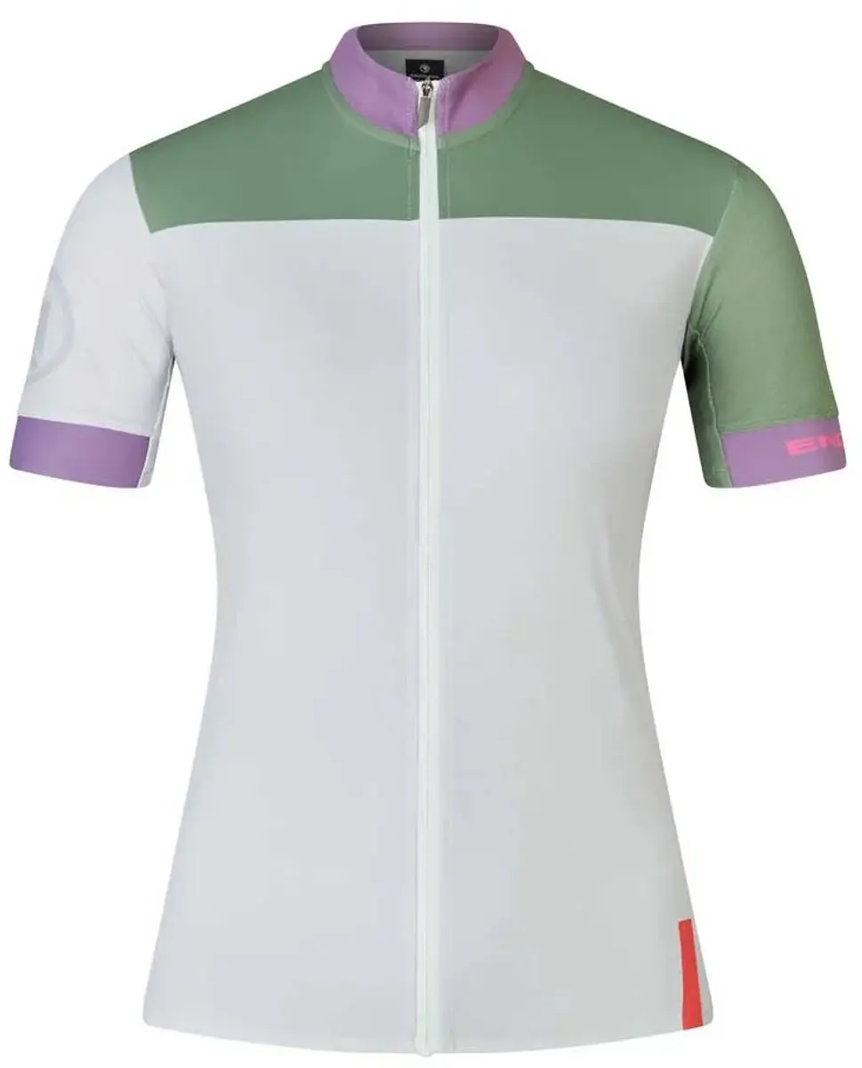 Endura Chroma FS260 Wielertrui - M - Grijs - afbeelding 5 van 6