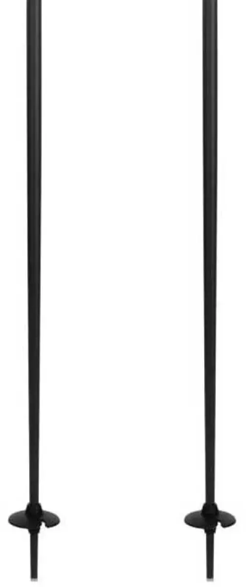 Rossignol Tactic Skistokken 110cm - Zilver - afbeelding 6 van 6