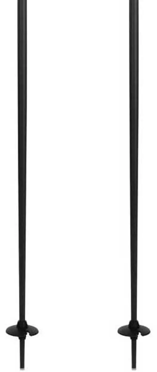 Rossignol Tactic Skistokken 110cm - Zilver - afbeelding 4 van 6