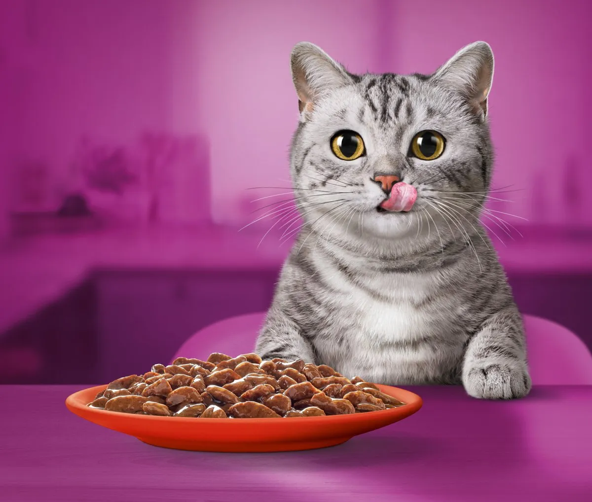 Whiskas Classic Selectie in Saus Kattenvoer Adult 1+ - 80x85g
