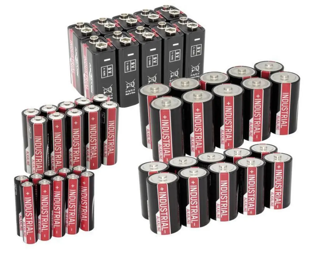 Ansmann D LR20 Alkalinebatterijen - 10 Stuks - afbeelding 6 van 6