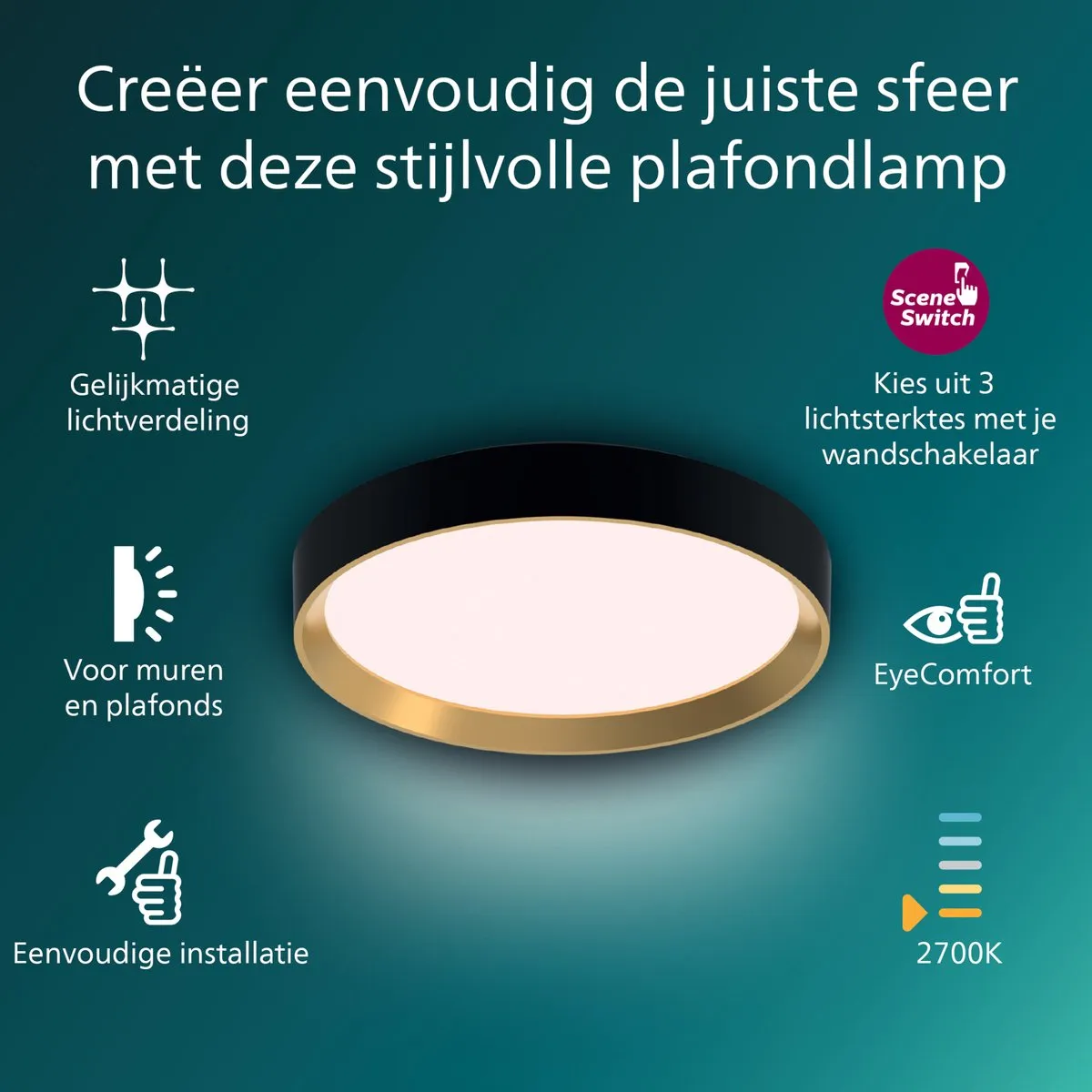Philips Hanno Plafondlamp 24W - Zwart/Goud
