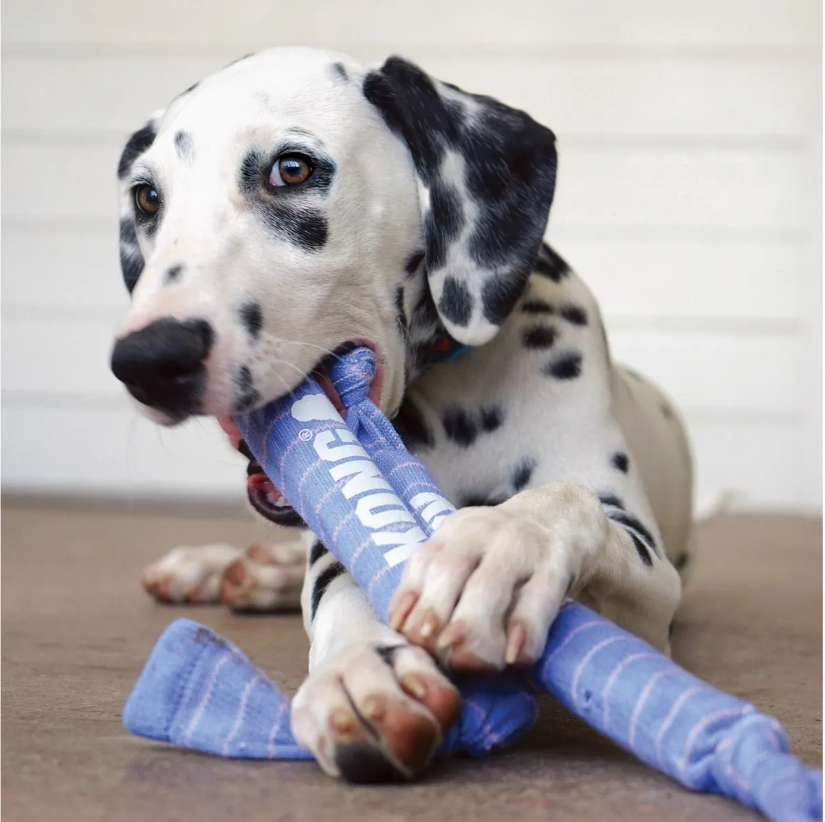 KONG Signature Crunch Rope Single Puppy - S/M 30cm Paars - afbeelding 3 van 4