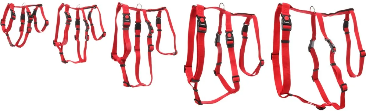 Flamingo Zera Veiligheidsharnas - Rood - XL 70-110cm