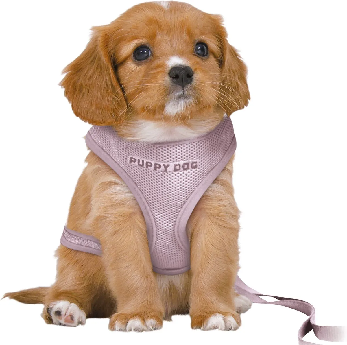 Trixie Junior Puppy Softtuig