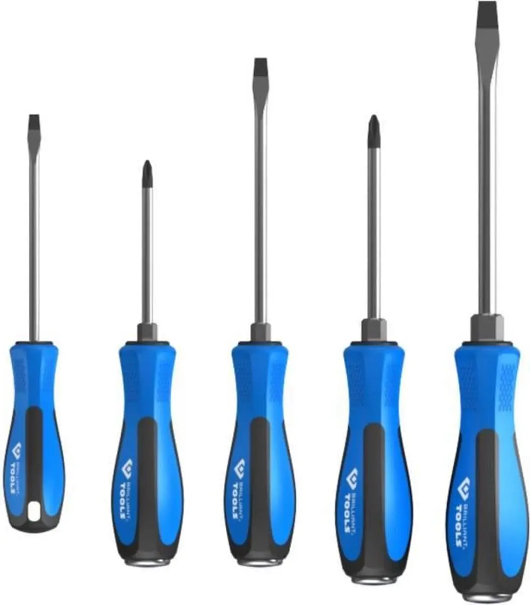 Brilliant Tools BT031020 Schroevendraaierset - 5-delig - afbeelding 4 van 4