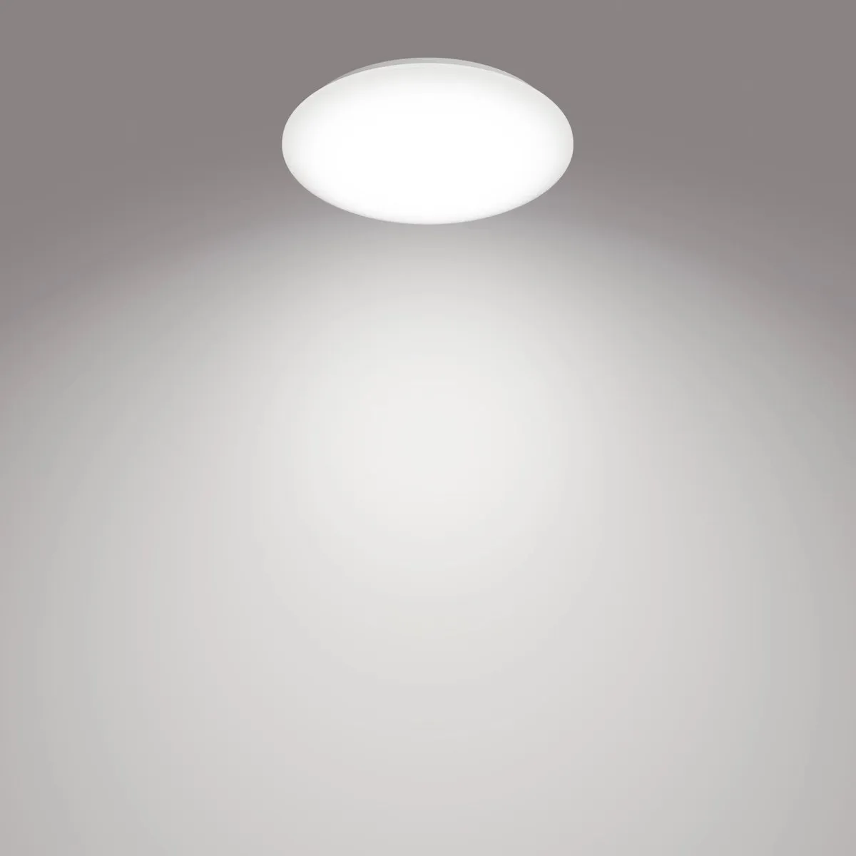 Philips Moire Plafondlamp 20W Koelwit - Wit - Ø38cm