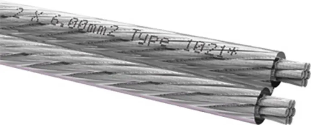Oehlbach D1C346 Luidsprekerkabel 2x6mm² Transparant 6m