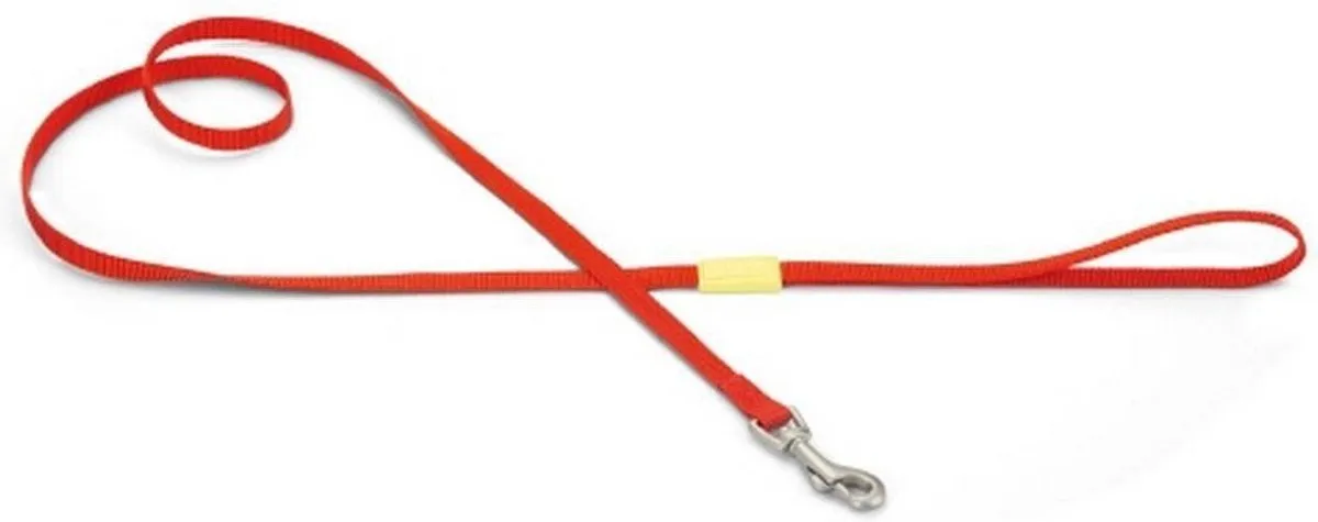Beeztees Hondenriem Uni 120cm x 25mm