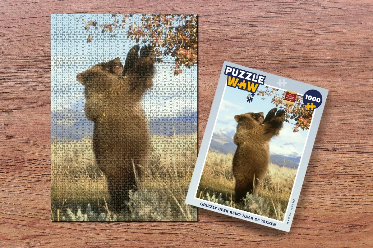 PuzzleWow Legpuzzel 1000 Stuks - Multicolor