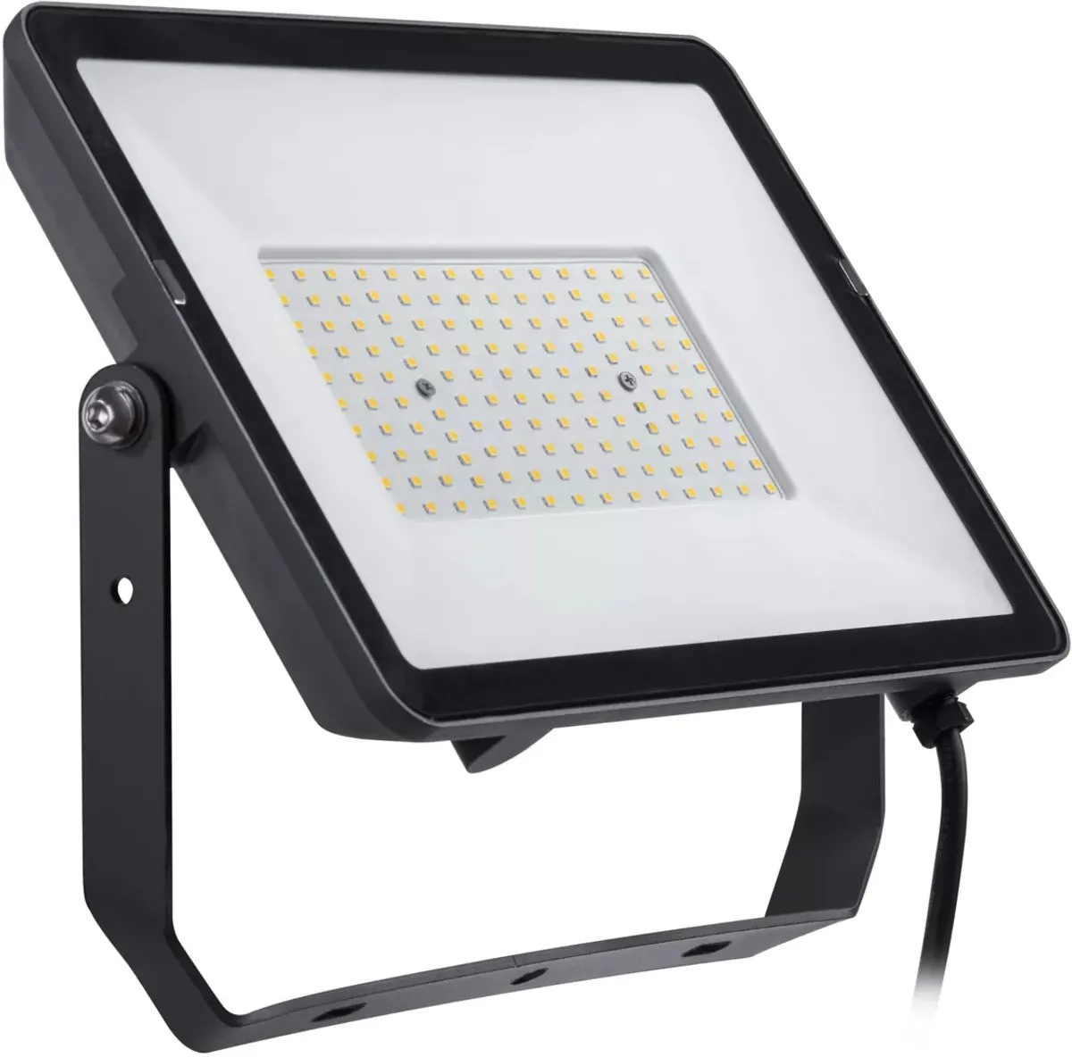Philips ProjectLine Schijnwerper 100W Warmwit