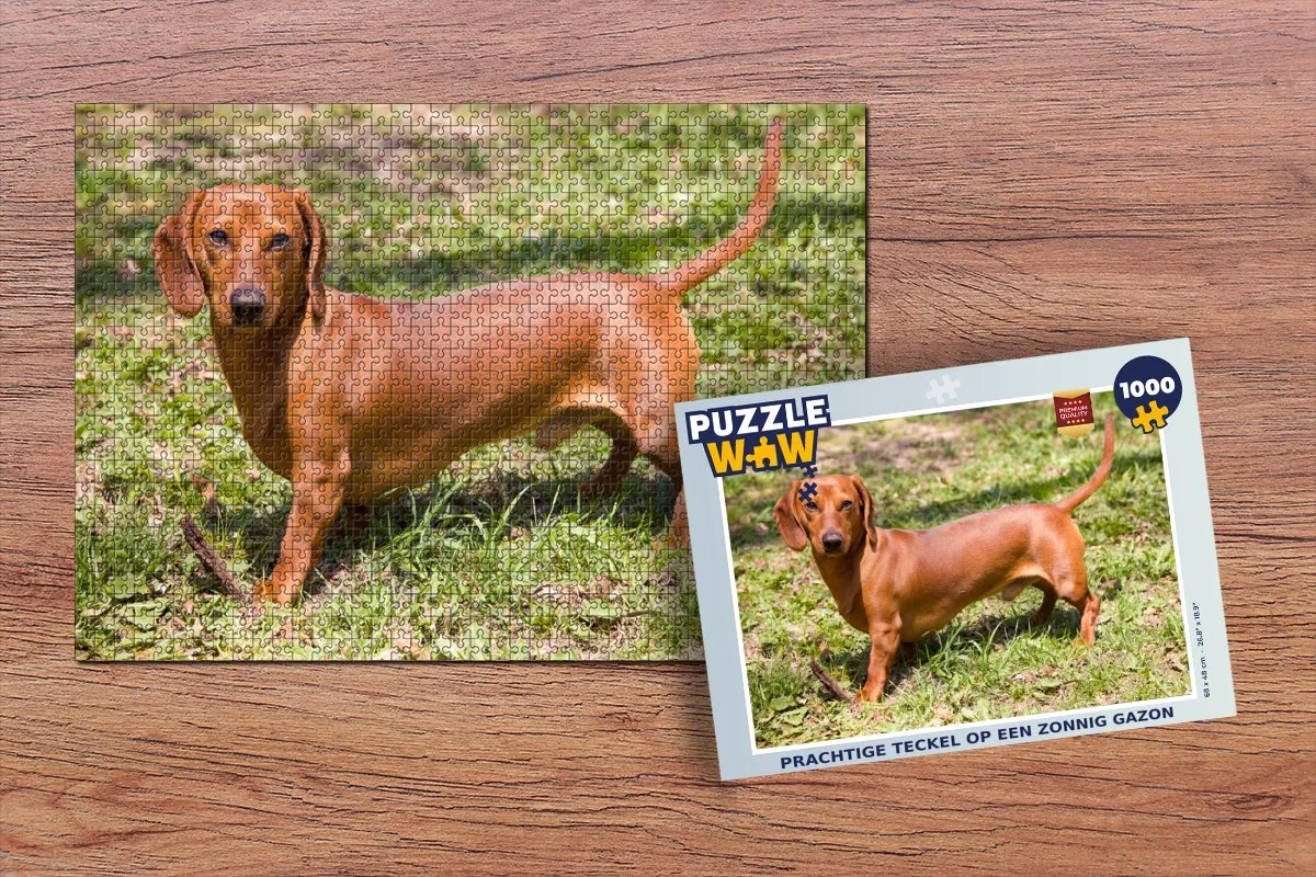 PuzzleWow Legpuzzel Teckel Zonnig Gazon 1000 Stuks - Multicolor