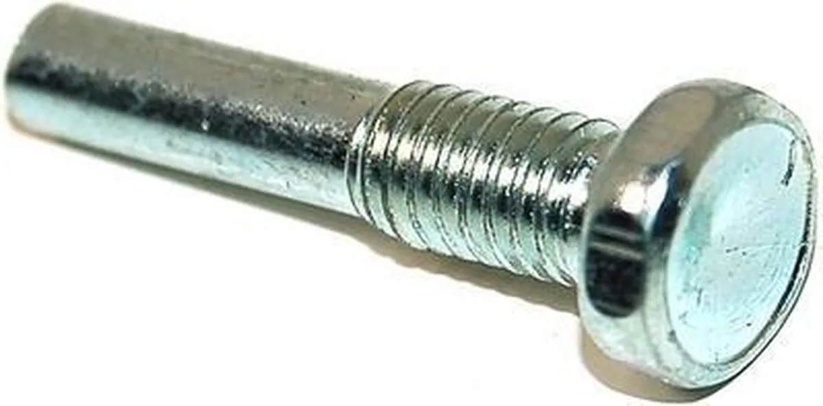 Whirlpool Scharnierpin 481953598188 - Zilver
