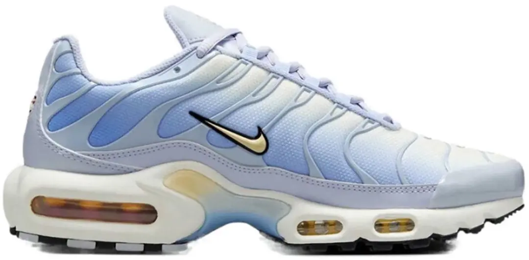 Nike Air Max Plus Daybreak (Maat 44 Doos zonder deksel
