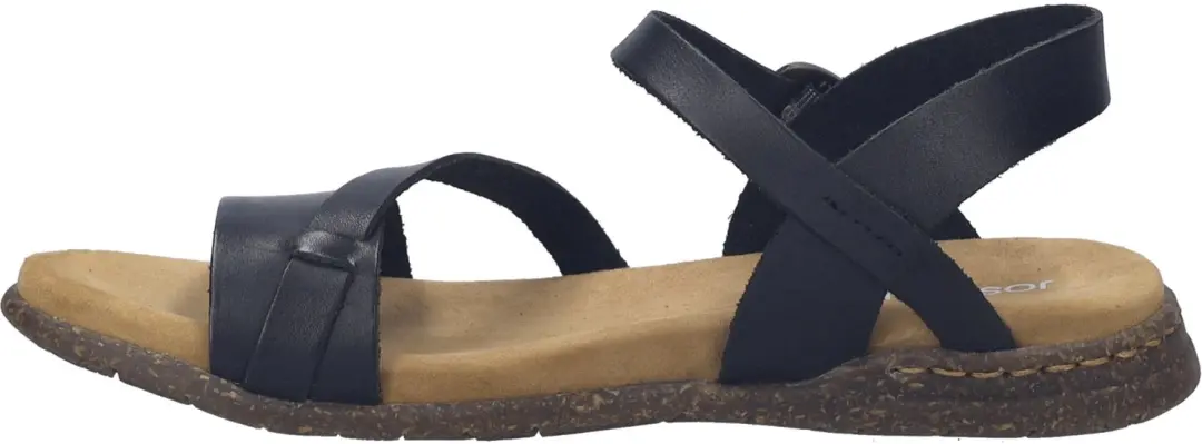 Fabricia 02
