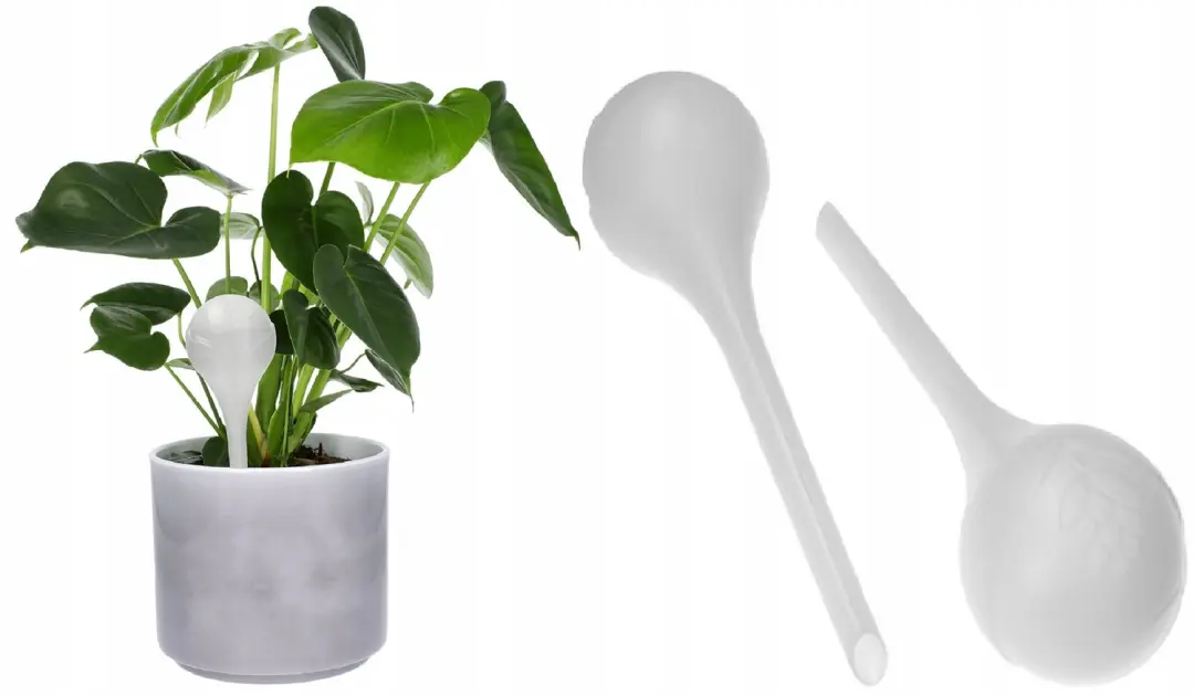 2x Aqua Watergevende Ballen voor Planten
