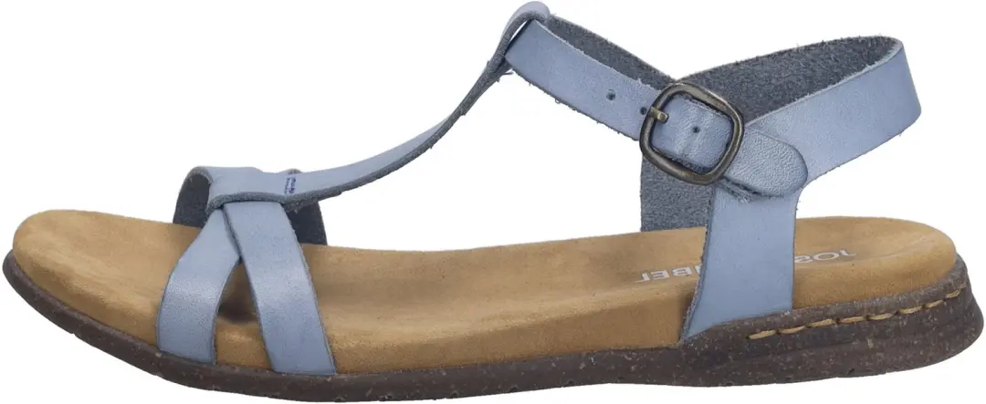 Fabricia 01