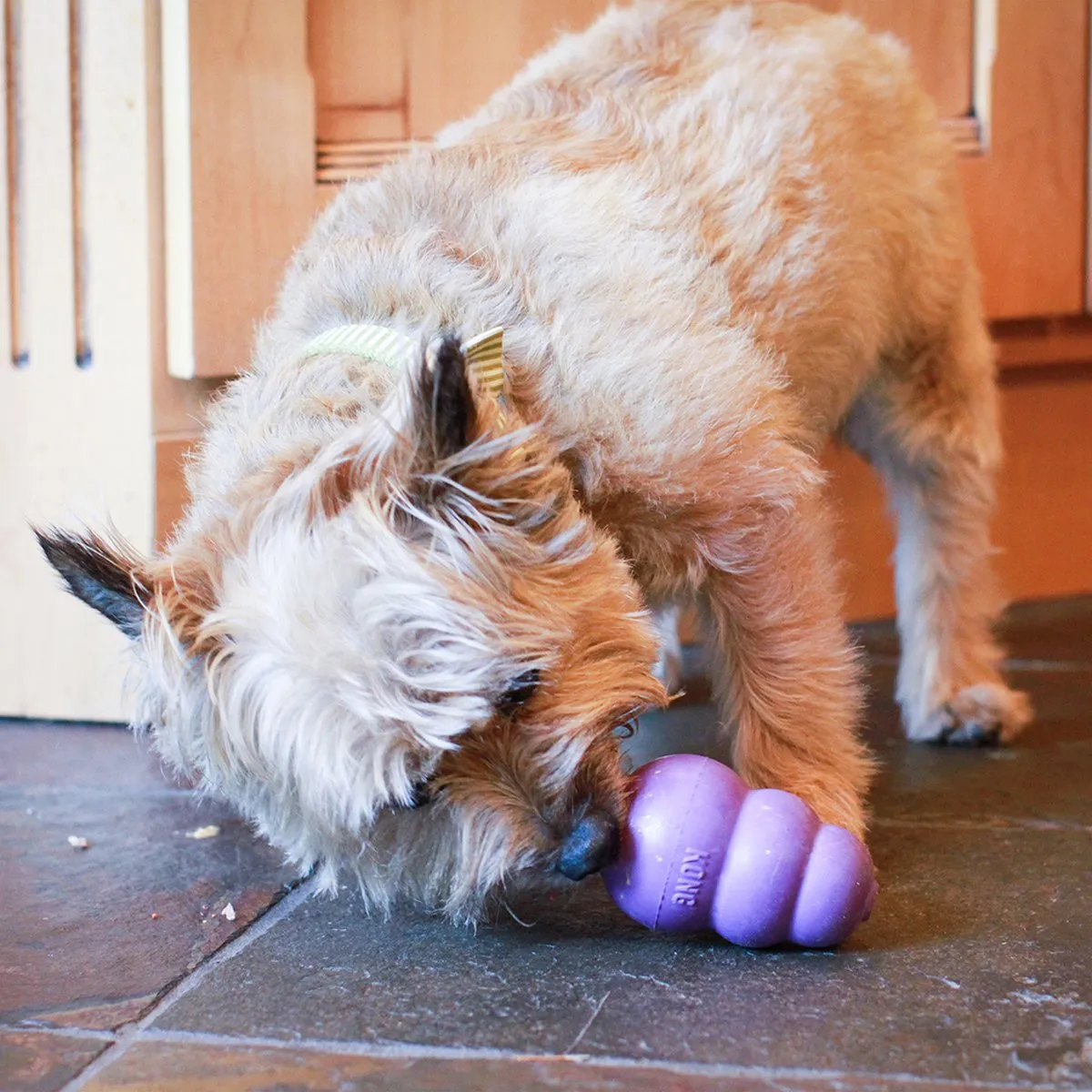 KONG Senior Hond Small 7cm - Paars