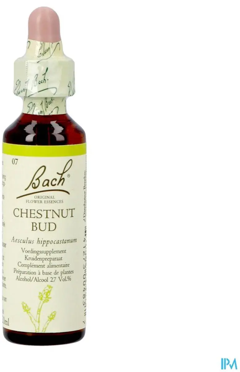 Bach Chestnut Bud 3411 20ml