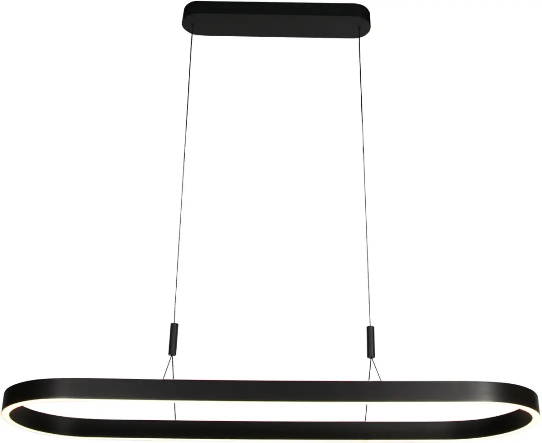 Steinhauer Mykty 4205ZW Ovale Hanglamp - Zwart - afbeelding 3 van 6