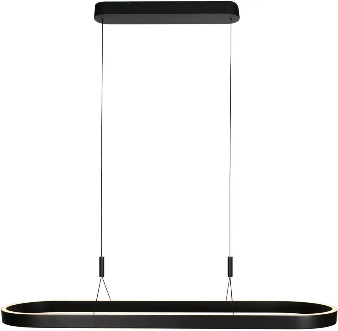 Steinhauer Mykty 4205ZW Ovale Hanglamp
