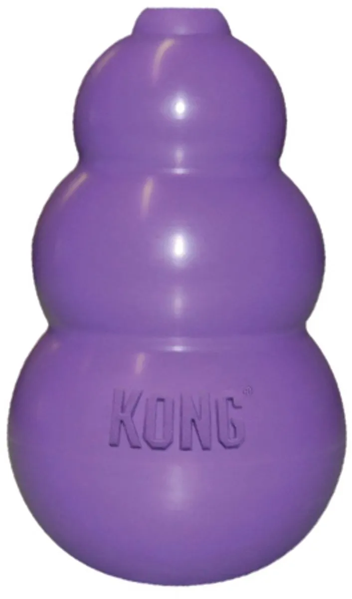KONG Kitty Kong - Paars