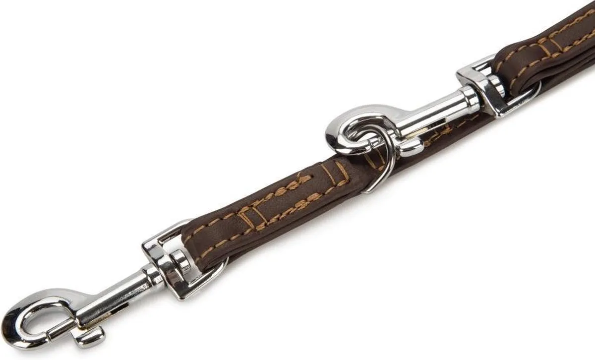 Beeztees Vintage Hondenriem - Bruin Leder 200cm x 14mm