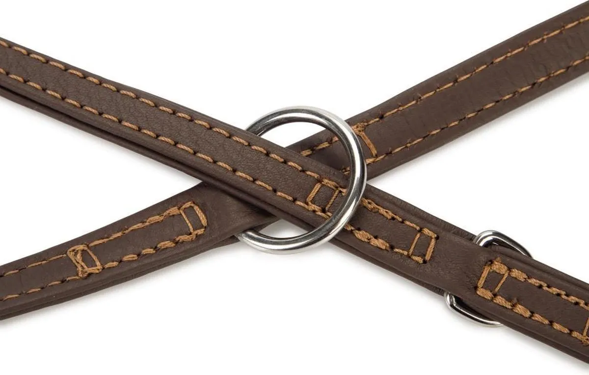 Beeztees Vintage Hondenriem - Bruin Leder 200cm x 14mm