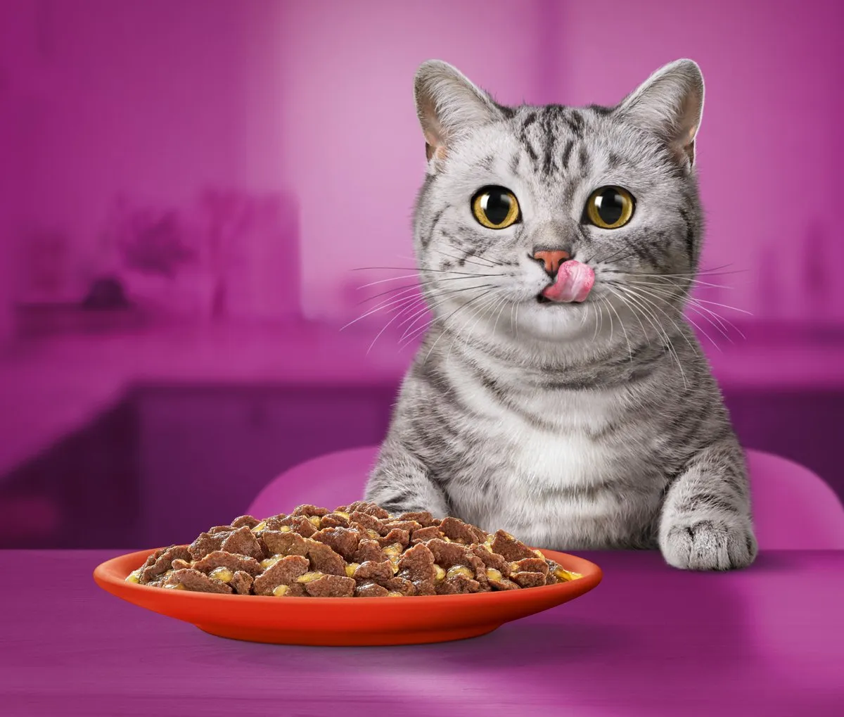 Whiskas Classic Selectie in Gelei Kattenvoer - 60x85g