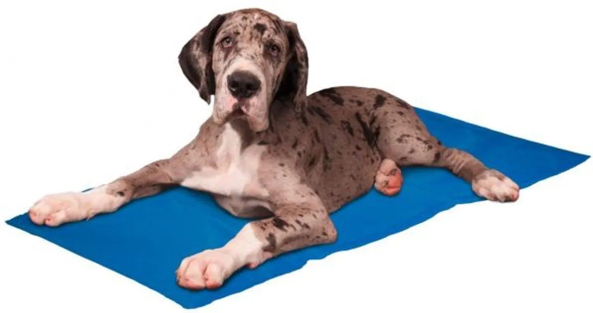 Flamingo Frosty Koelmat Honden XXL 120x80cm
