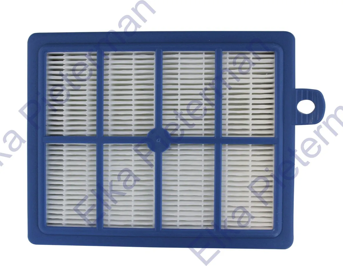 Electrolux Hepa Filter EF78 9001967018 - 2 Stuks - Wit