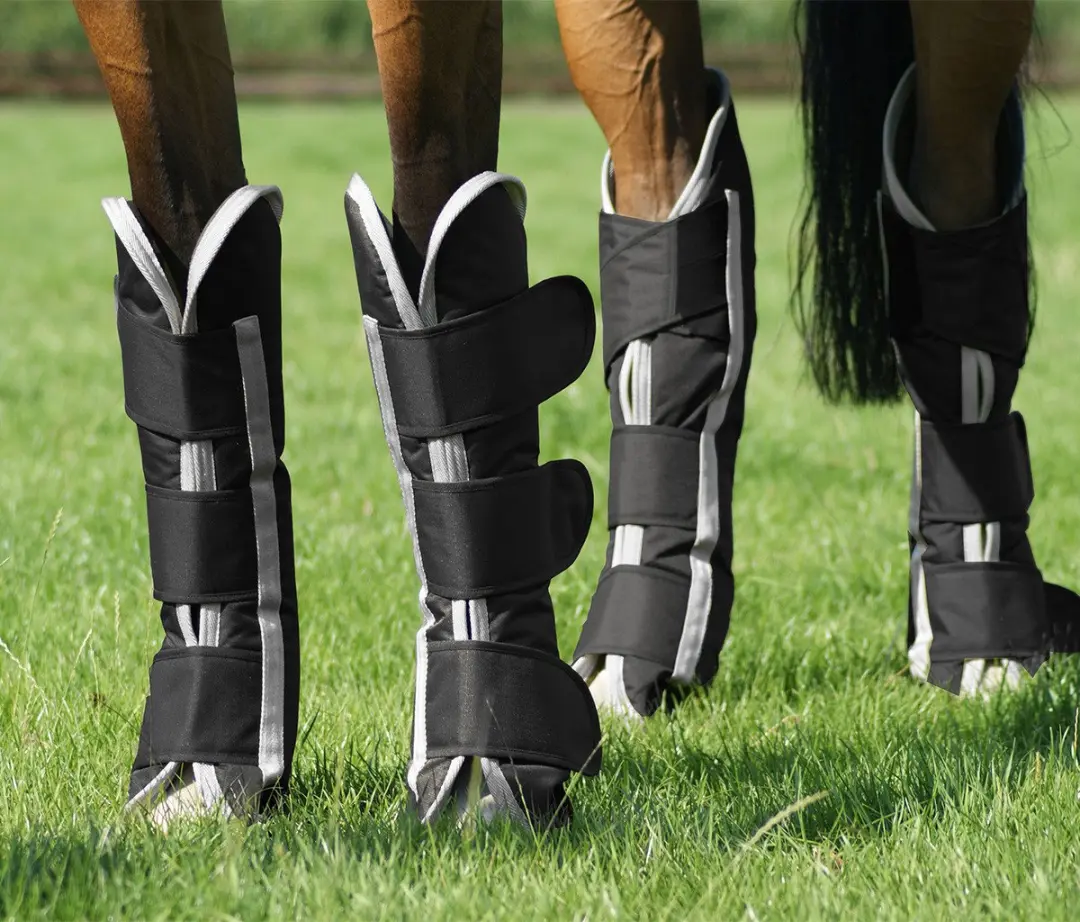 QHP Turnout Transportbeschermers - Cob Middel - Zwart - afbeelding 6 van 6