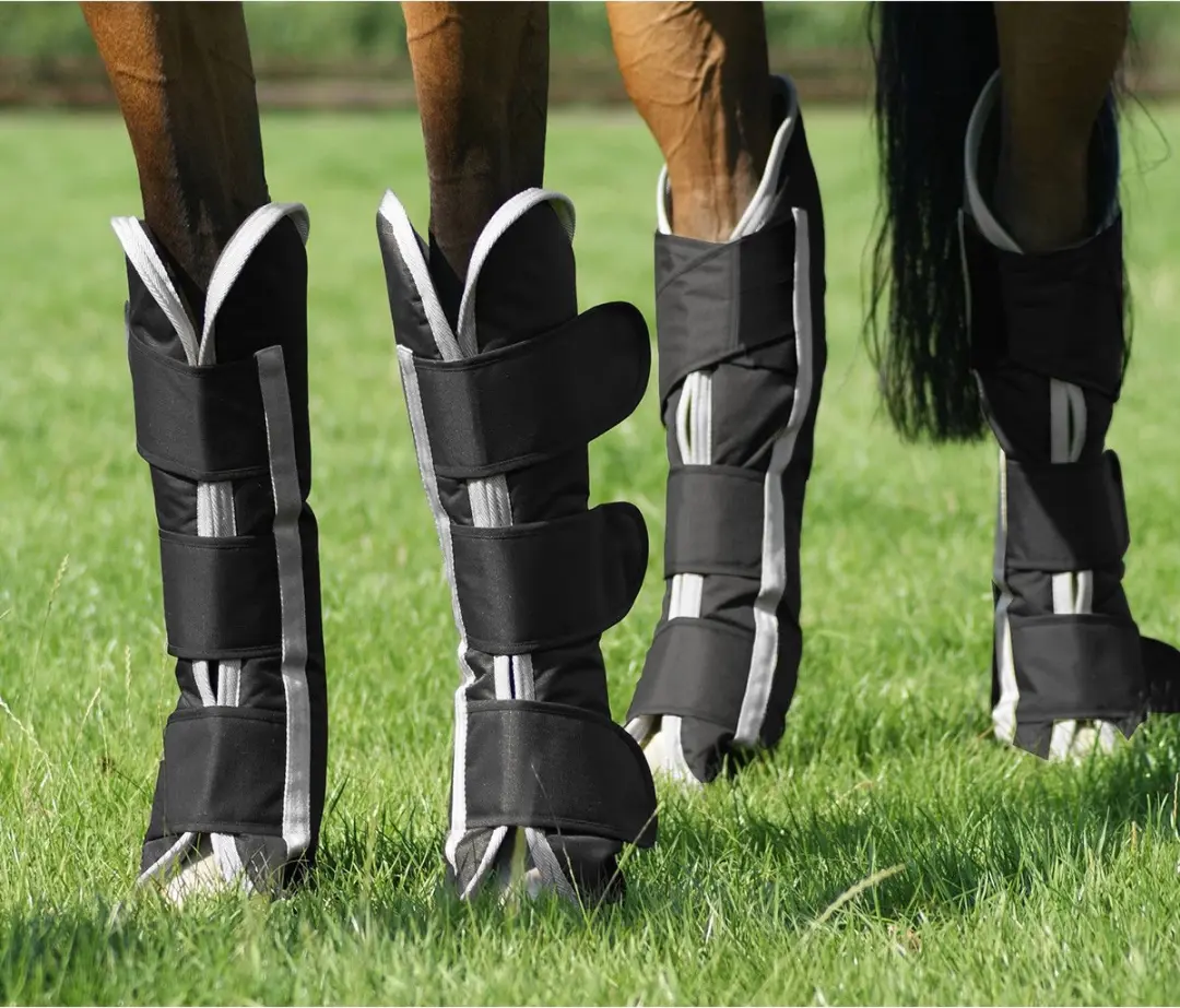 QHP Turnout Transportbeschermers - Cob Middel - Zwart - afbeelding 4 van 6