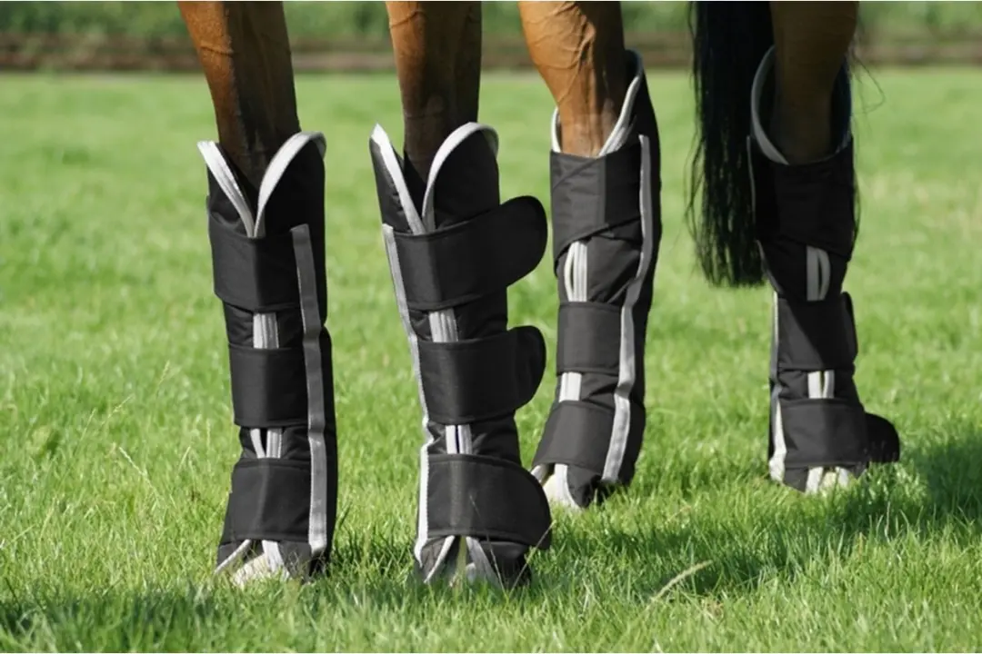 QHP Turnout Transportbeschermers - Cob Middel - Zwart - afbeelding 2 van 6