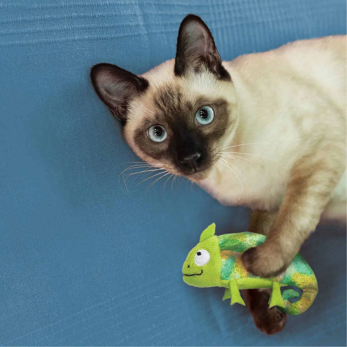 KONG Kameleon Met Catnip Hervulbaar - Groen