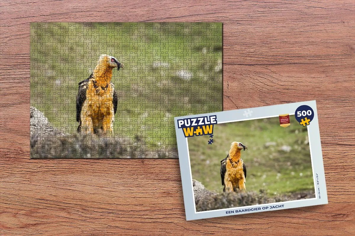 PuzzleWow Legpuzzel Een Baardgier op jacht 500 Stuks